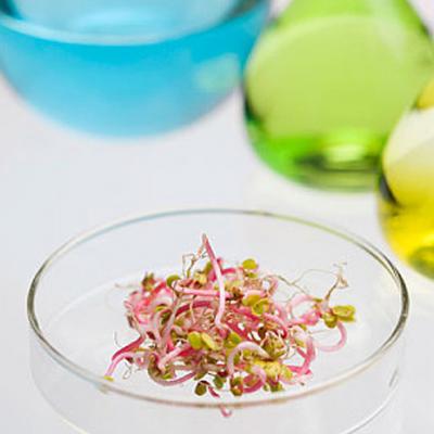 Bio-production Clarification